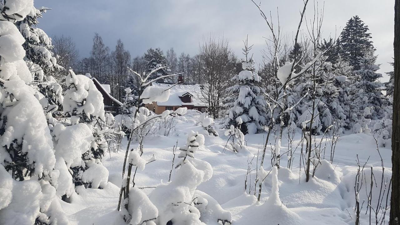 Chalupa u lesa Červená Voda Bagian luar foto